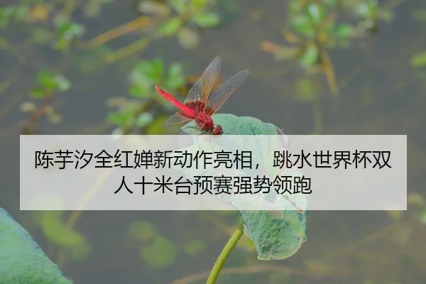 chen-yu-xi-quan-hong-chan-xin-dong-zuo-liang-xiang-tiao-shui-shi-jie-bei-shuang-ren-shi-mi-tai-yu-sai-qiang-shi-ling-pao-2-816.jpg